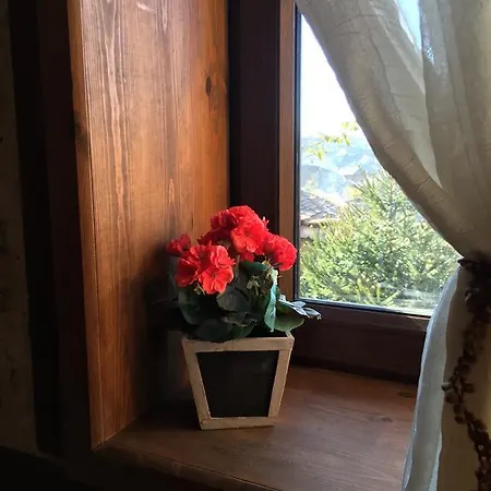 Pensiune Lazovata House *