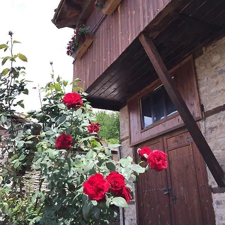 Lazovata House Leşten