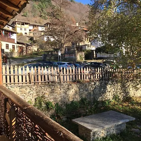 Pensiune Lazovata House *