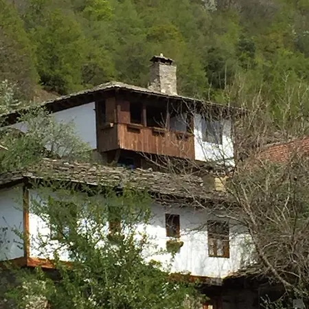 Pensiune Lazovata House Leşten