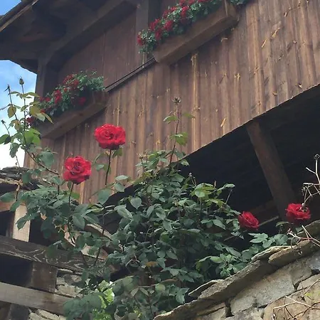 Pensiune Lazovata House
